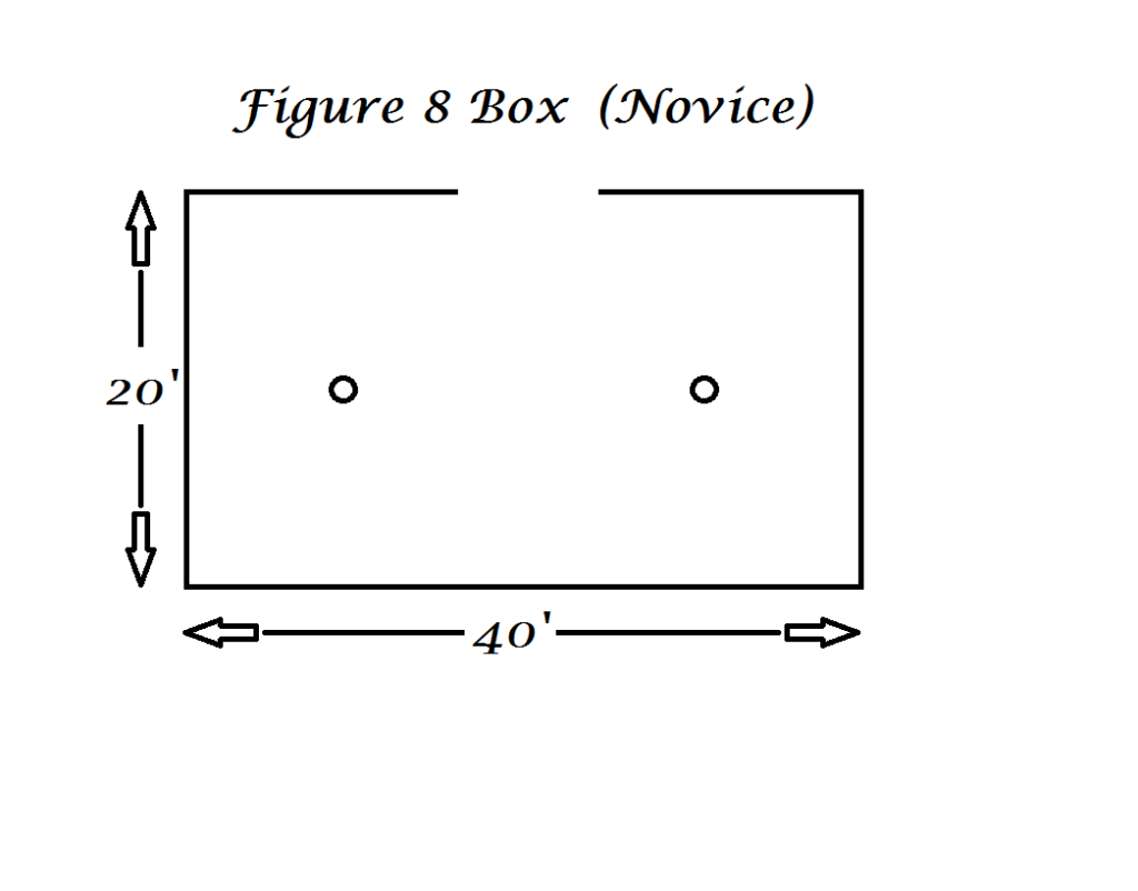 Figure_8_Box _Novice